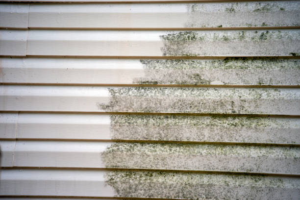 Best Furniture Removal  in Houston, MO